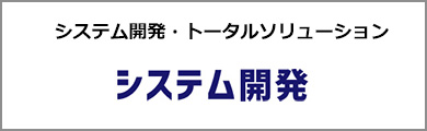 システム開発